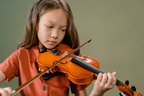Violine (Geige)
